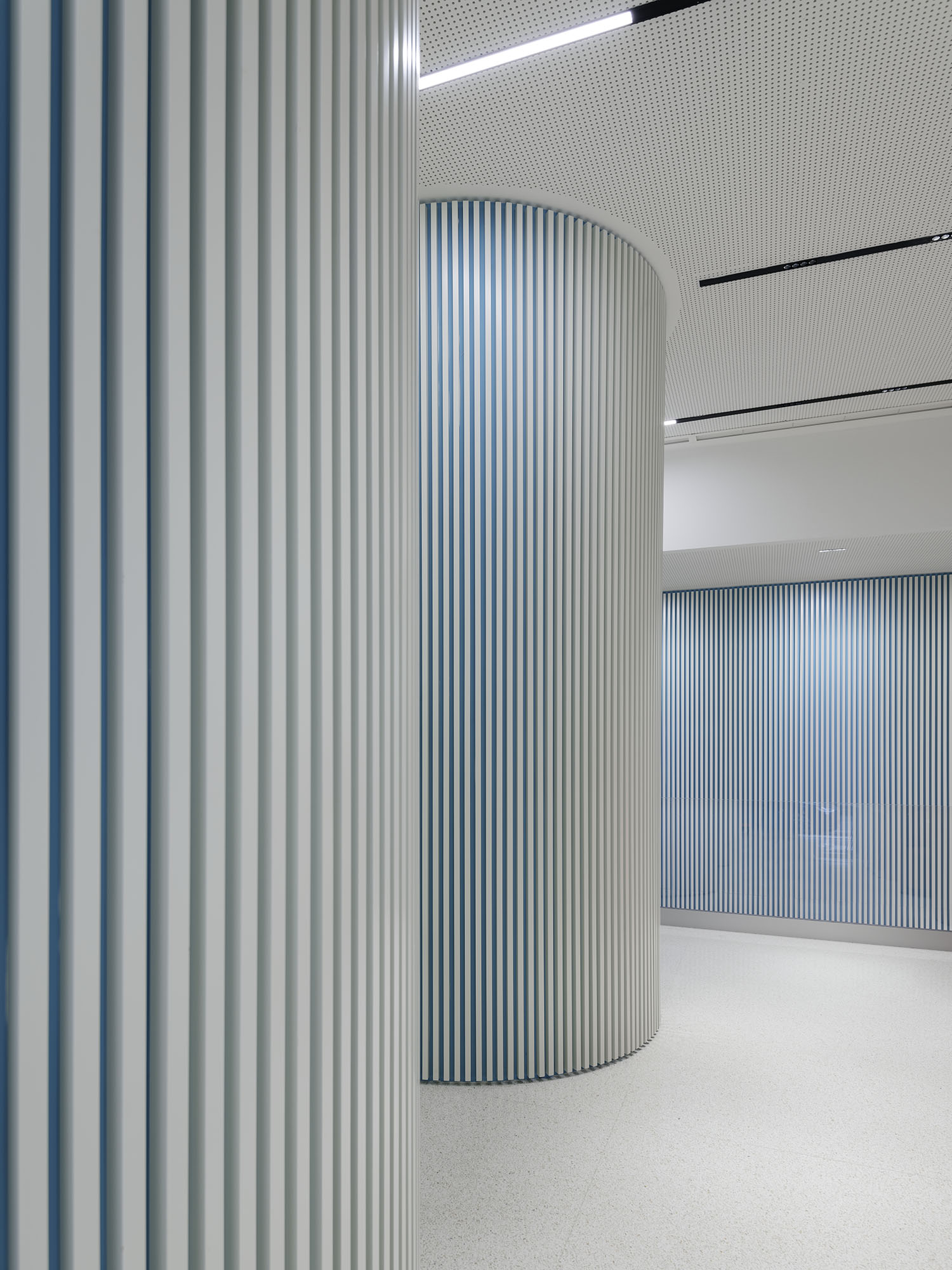 Twist Clinic - View of curved walls with slats
